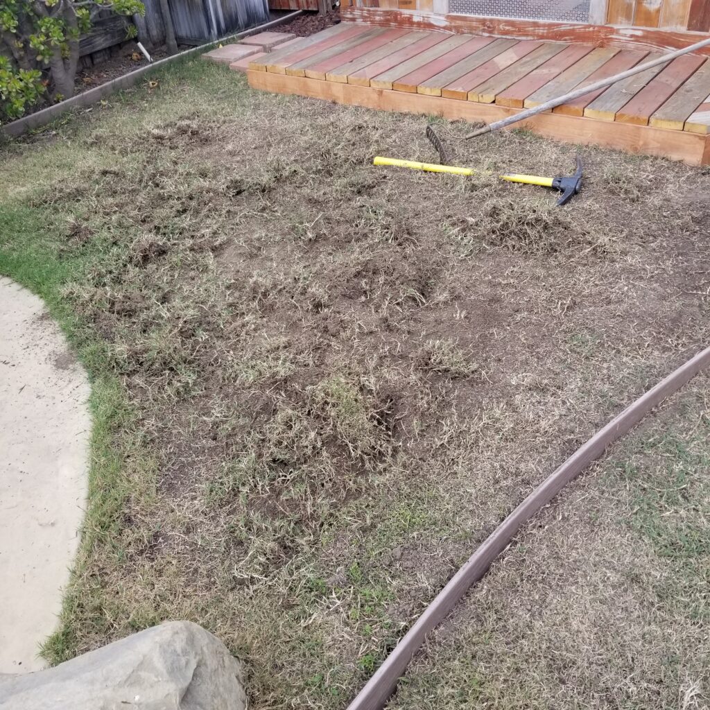 Turf removing in yard seating project.